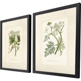 Paragon Queen's Lace I S/2 Green 26 X 20 X 2 Wall Art