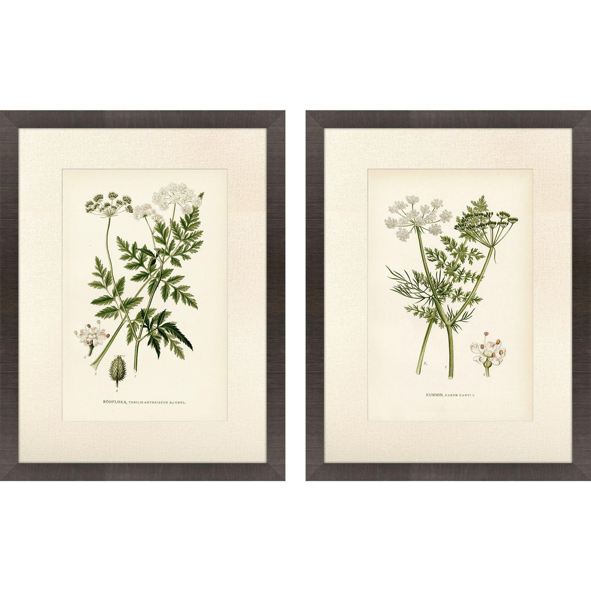 Paragon Queen's Lace II S/2 Green 26 X 20 X 2 Wall Art