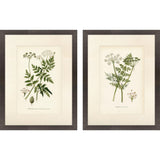 Paragon Queen's Lace II S/2 Green 26 X 20 X 2 Wall Art