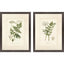 Paragon Queen's Lace II S/2 Green 26 X 20 X 2 Wall Art