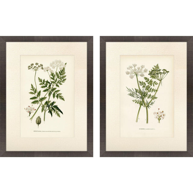 Paragon Queen's Lace II S/2 Green 26 X 20 X 2 Wall Art