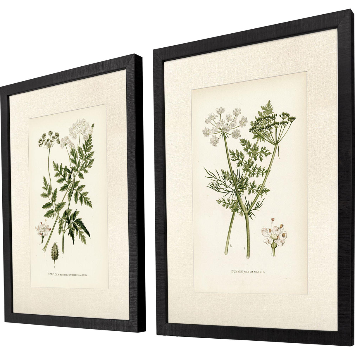 Paragon Queen's Lace II S/2 Green 26 X 20 X 2 Wall Art