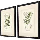 Paragon Queen's Lace II S/2 Green 26 X 20 X 2 Wall Art
