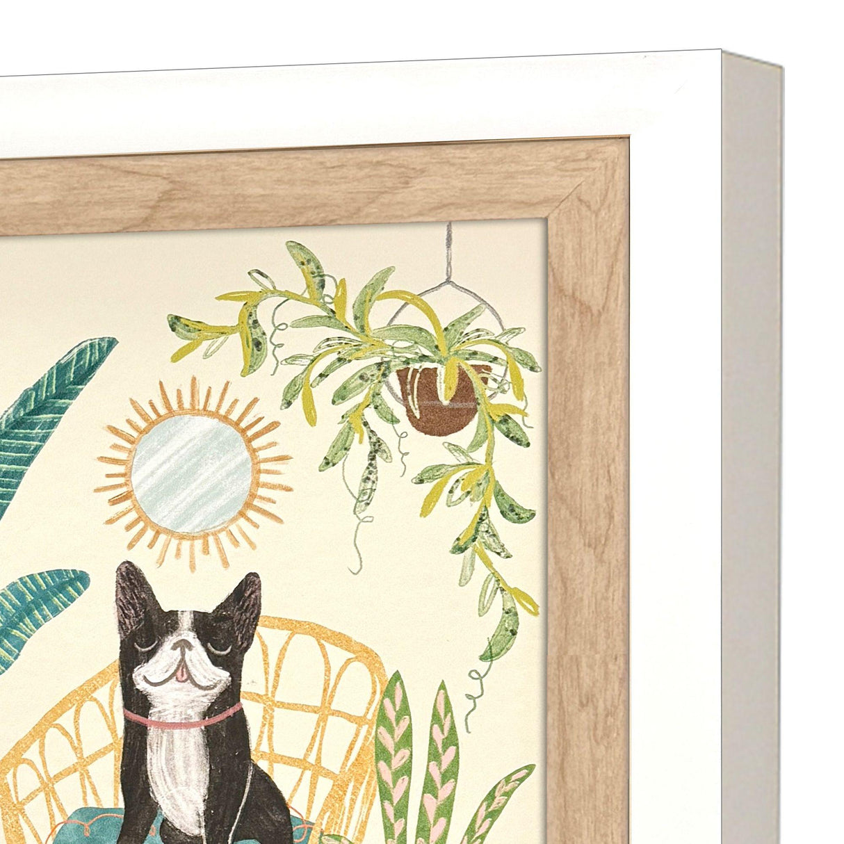 Paragon Urban Jungle Dogs S/4 Multi 13 X 11 X 2 Wall Art