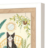 Paragon Urban Jungle Dogs S/4 Multi 13 X 11 X 2 Wall Art