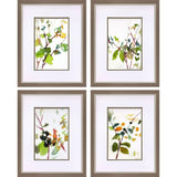 Paragon Botanical Reverie S/4 Green 19 X 15 X 1 Wall Art