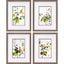 Paragon Botanical Reverie S/4 Green 19 X 15 X 1 Wall Art