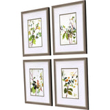 Paragon Botanical Reverie S/4 Green 19 X 15 X 1 Wall Art