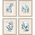 Paragon Underwater Botany S/4 Blue 27 X 23 X 1 Wall Art