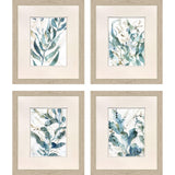 Paragon Underwater Botany S/4 Blue 27 X 23 X 1 Wall Art