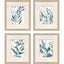 Paragon Underwater Botany S/4 Blue 27 X 23 X 1 Wall Art