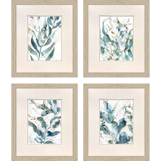 Paragon Underwater Botany S/4 Blue 27 X 23 X 1 Wall Art