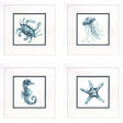 Paragon Water Sea Creatures S/4 Blue 23 X 23 X 2 Wall Art