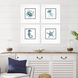 Paragon Water Sea Creatures S/4 Blue 23 X 23 X 2 Wall Art