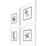 Paragon Water Sea Creatures S/4 Blue 23 X 23 X 2 Wall Art