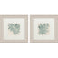 Paragon Burlap Ocean Palm I S/2 Green 22 X 22 X 2 Wall Art