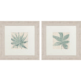 Paragon Burlap Ocean Palm II S/2 Green 22 X 22 X 2 Wall Art