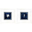 Paragon Turtle Seahorse S/2 Blue 23 X 23 X 2 Wall Art