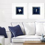 Paragon Turtle Seahorse S/2 Blue 23 X 23 X 2 Wall Art