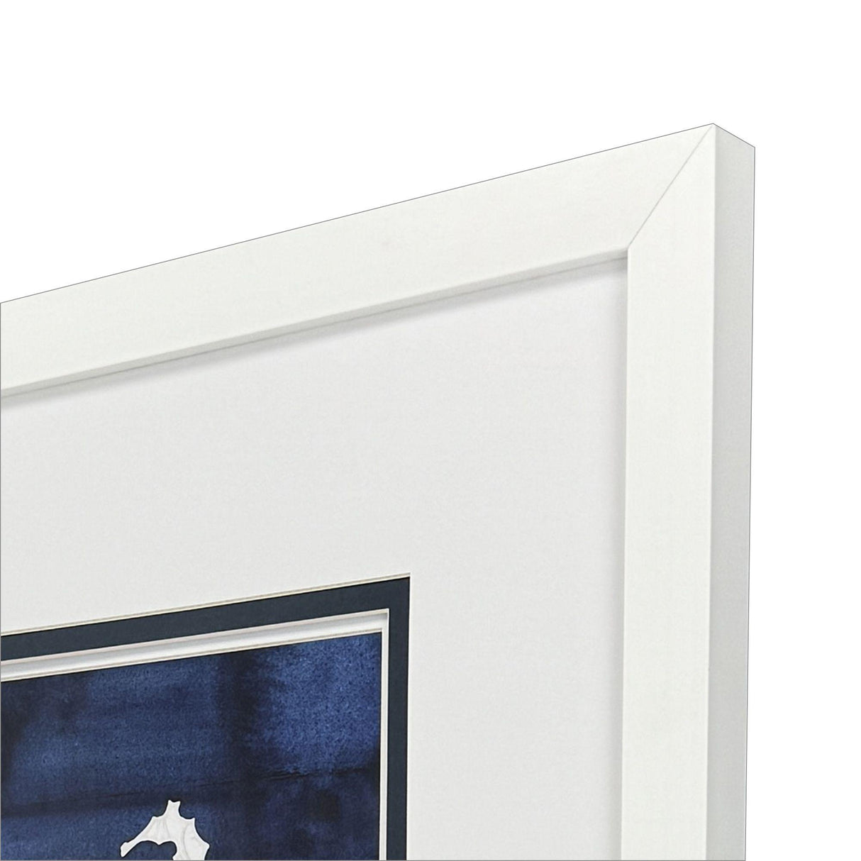 Paragon Turtle Seahorse S/2 Blue 23 X 23 X 2 Wall Art