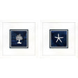 Paragon Coral Starfish S/2 Blue 23 X 23 X 2 Wall Art