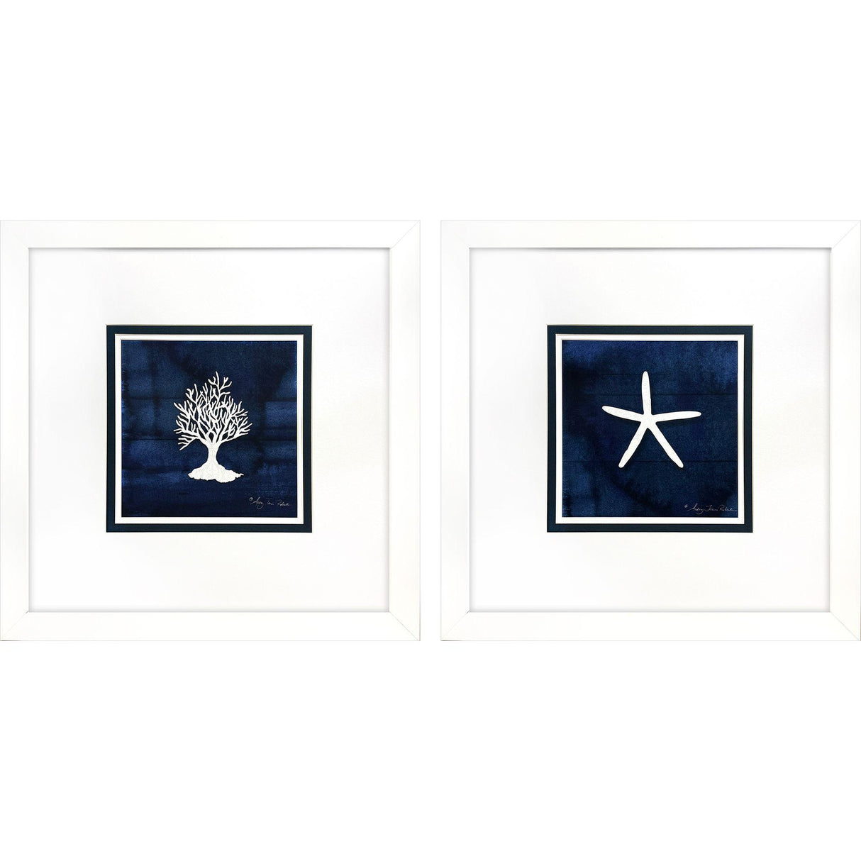 Paragon Coral Starfish S/2 Blue 23 X 23 X 2 Wall Art
