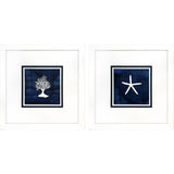 Paragon Coral Starfish S/2 Blue 23 X 23 X 2 Wall Art
