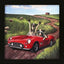 Paragon The Runaways Red 11 X 11 X 2 Wall Art