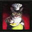 Paragon Guest for Dinner Red 11 X 11 X 2 Wall Art