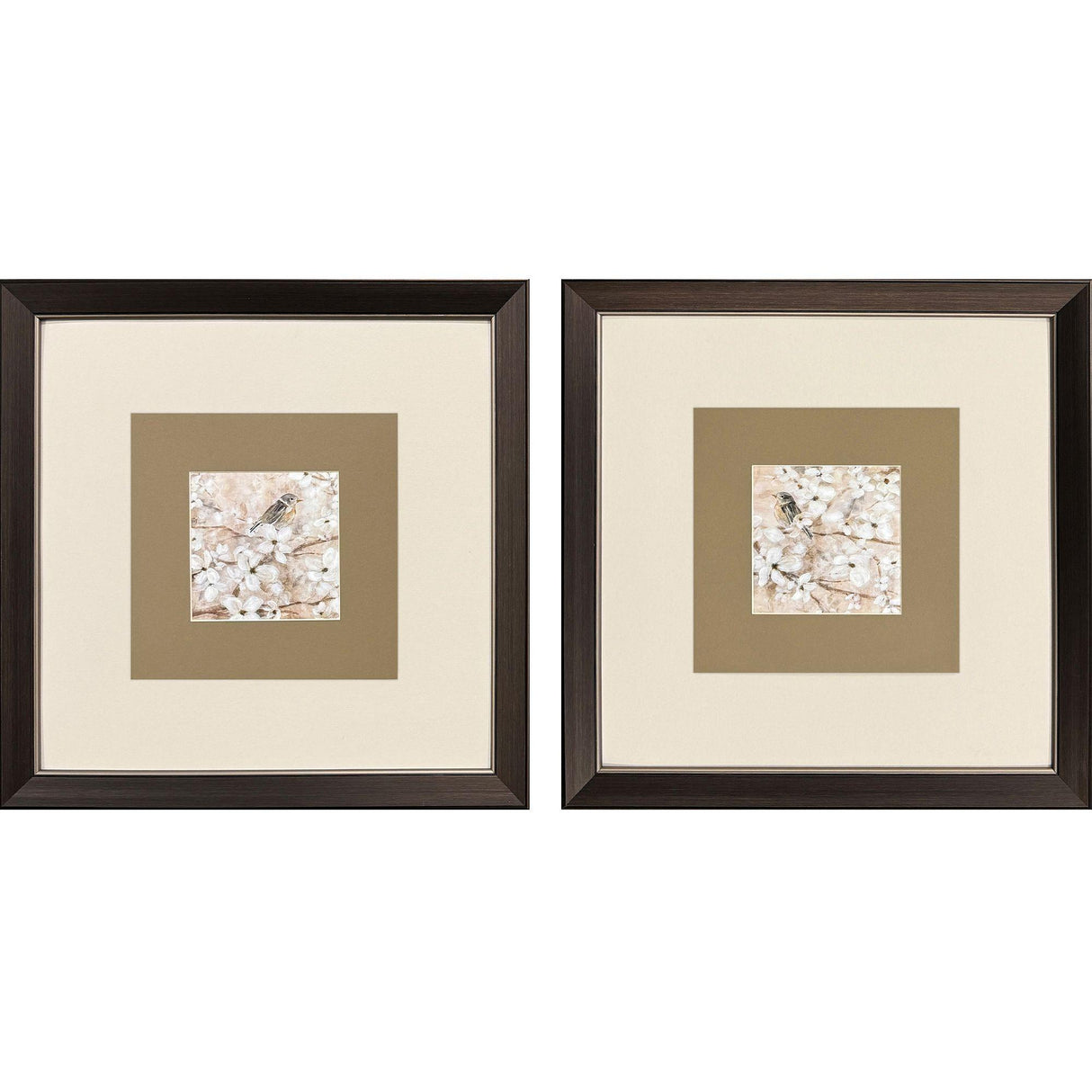 Paragon Fragrant Perch S/2 Brown 21 X 21 X 1 Wall Art