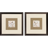 Paragon Fragrant Perch S/2 Brown 21 X 21 X 1 Wall Art