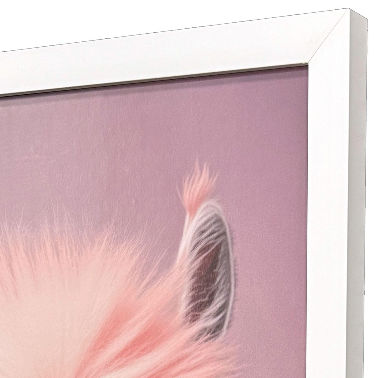 Paragon Llama in Sunglasses Pink 35 X 24 X 2 Wall Art