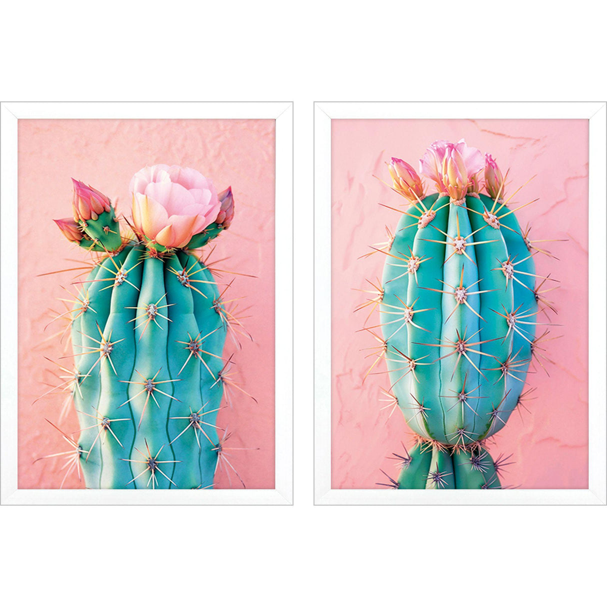 Paragon Blush Botanicals II S/2 Pink 19 X 13 X 2 Wall Art