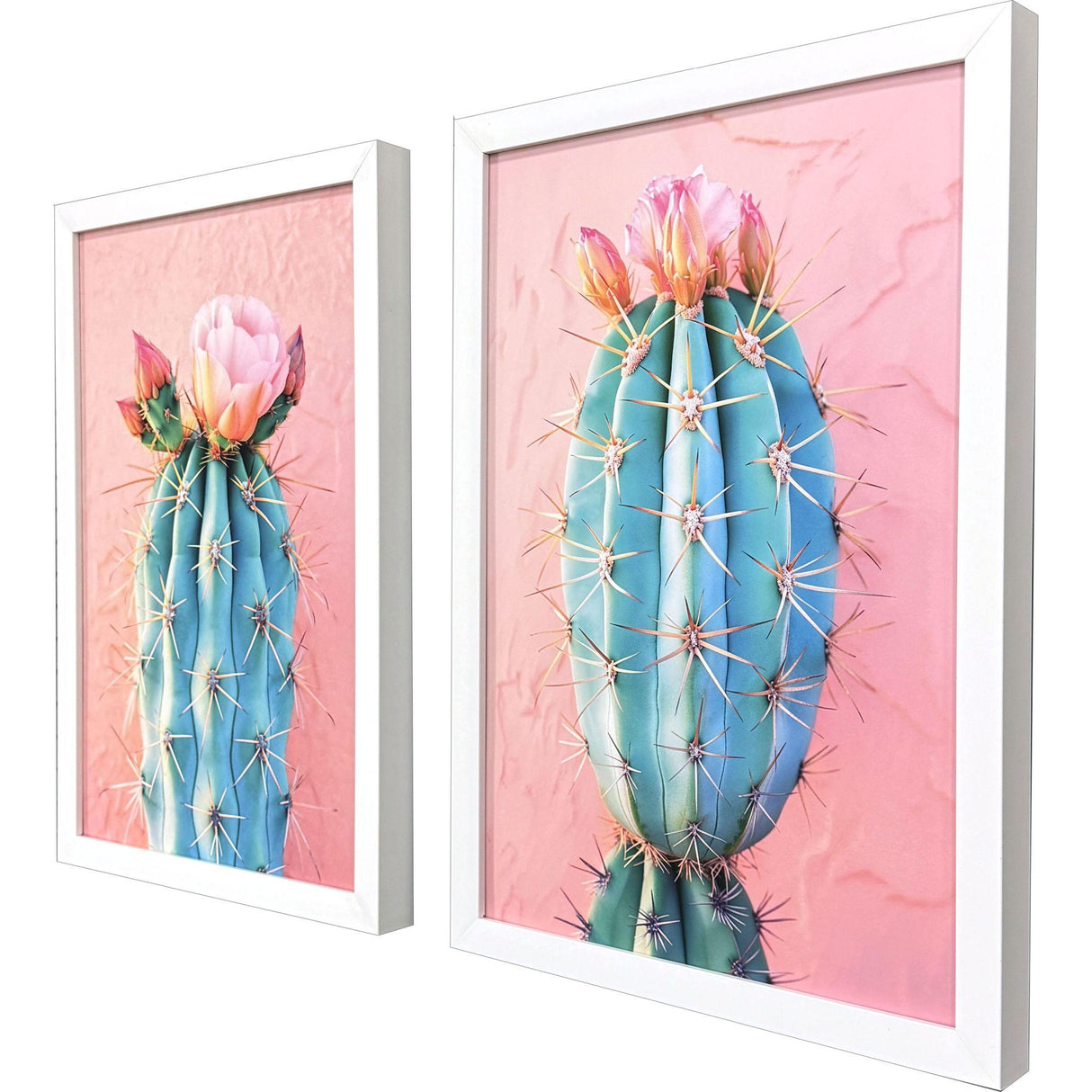 Paragon Blush Botanicals II S/2 Pink 19 X 13 X 2 Wall Art