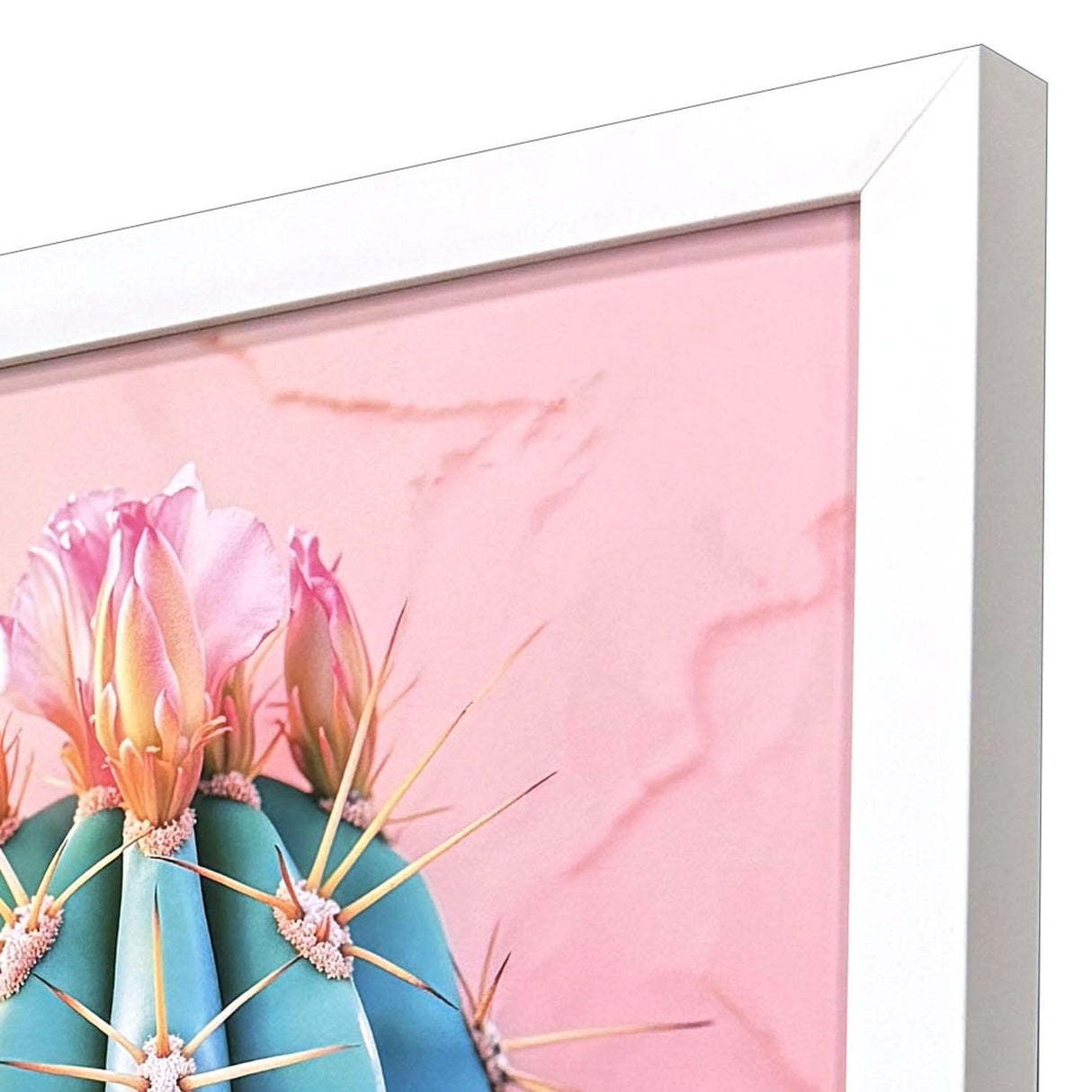Paragon Blush Botanicals II S/2 Pink 19 X 13 X 2 Wall Art