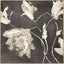 Paragon Neutral Flora I Black 25 X 25 X 3 Wall Art