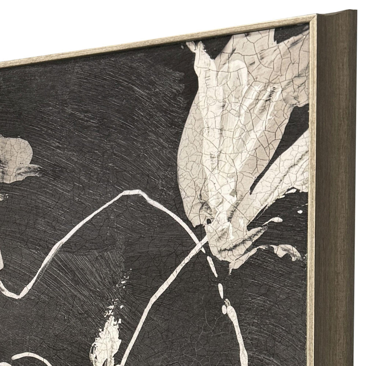 Paragon Neutral Flora I Black 25 X 25 X 3 Wall Art