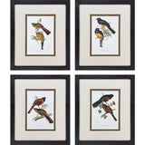 Paragon Elegant Trogons S/4 Multi 21 X 17 X 2 Wall Art