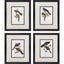 Paragon Elegant Trogons S/4 Multi 21 X 17 X 2 Wall Art