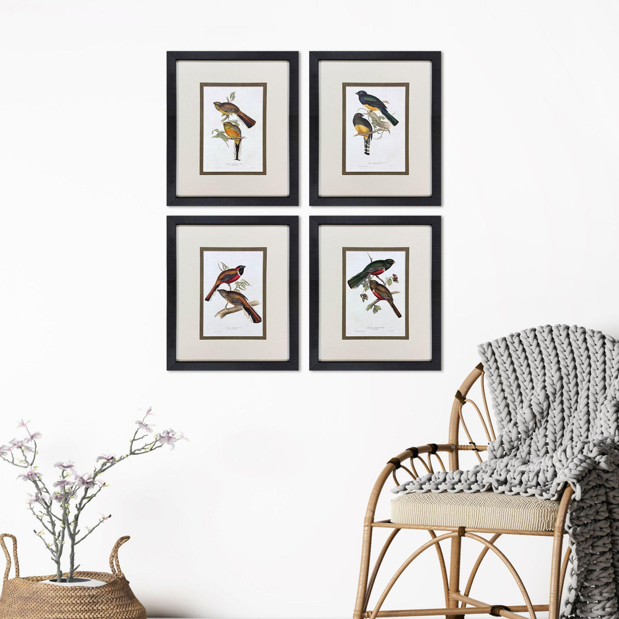 Paragon Elegant Trogons S/4 Multi 21 X 17 X 2 Wall Art