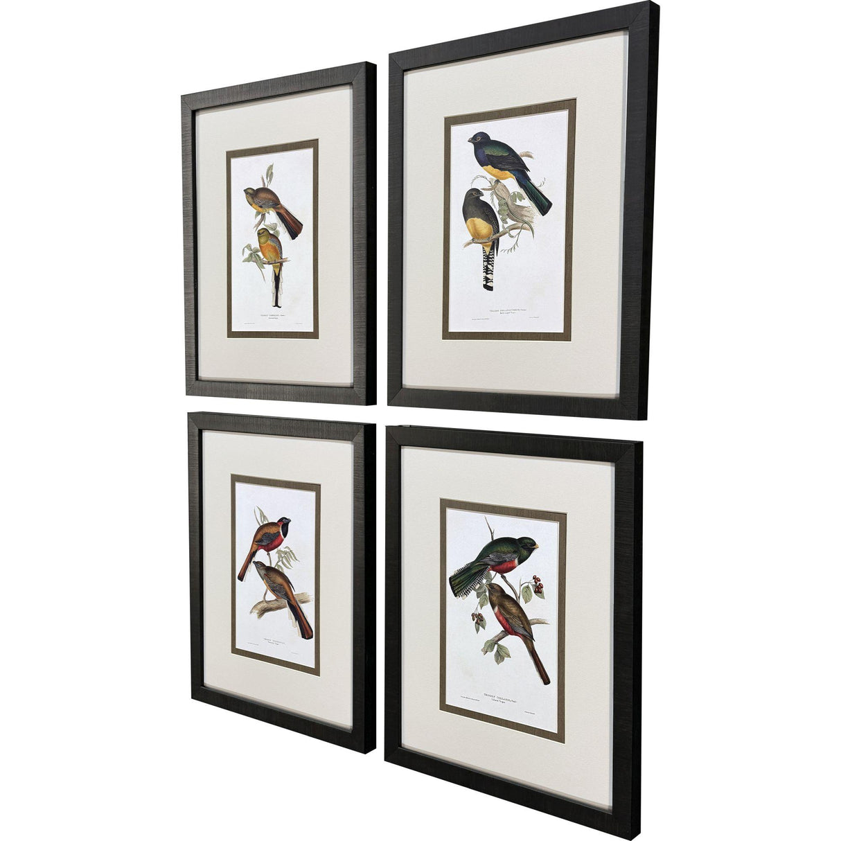 Paragon Elegant Trogons S/4 Multi 21 X 17 X 2 Wall Art