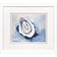 Paragon Mollusk II Blue 28 X 32 X 2 Wall Art