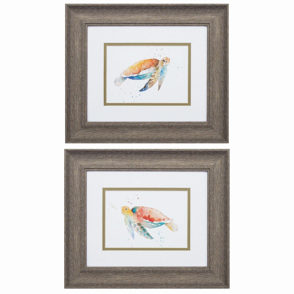 Paragon Sea Turtle S/2 Yellow 11 X 13 X 1 Wall Art