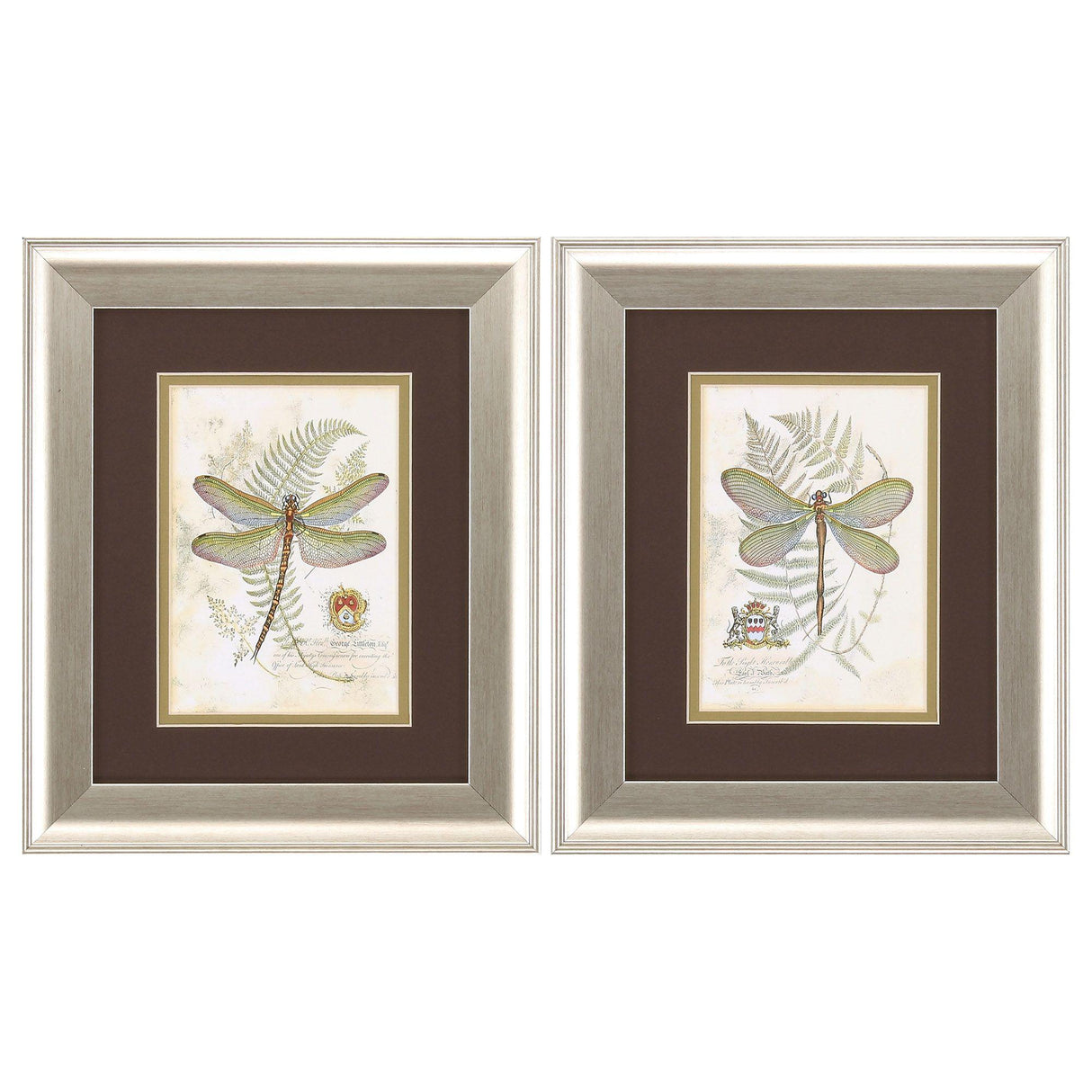 Paragon Dragonfly S/2 Neutral 13 X 11 X 1 Wall Art