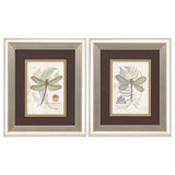 Paragon Dragonfly S/2 Neutral 13 X 11 X 1 Wall Art