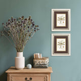 Paragon Dragonfly S/2 Neutral 13 X 11 X 1 Wall Art