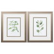 Paragon Herb Garden Sketches S/2 Green 11 X 09 X 1 Wall Art