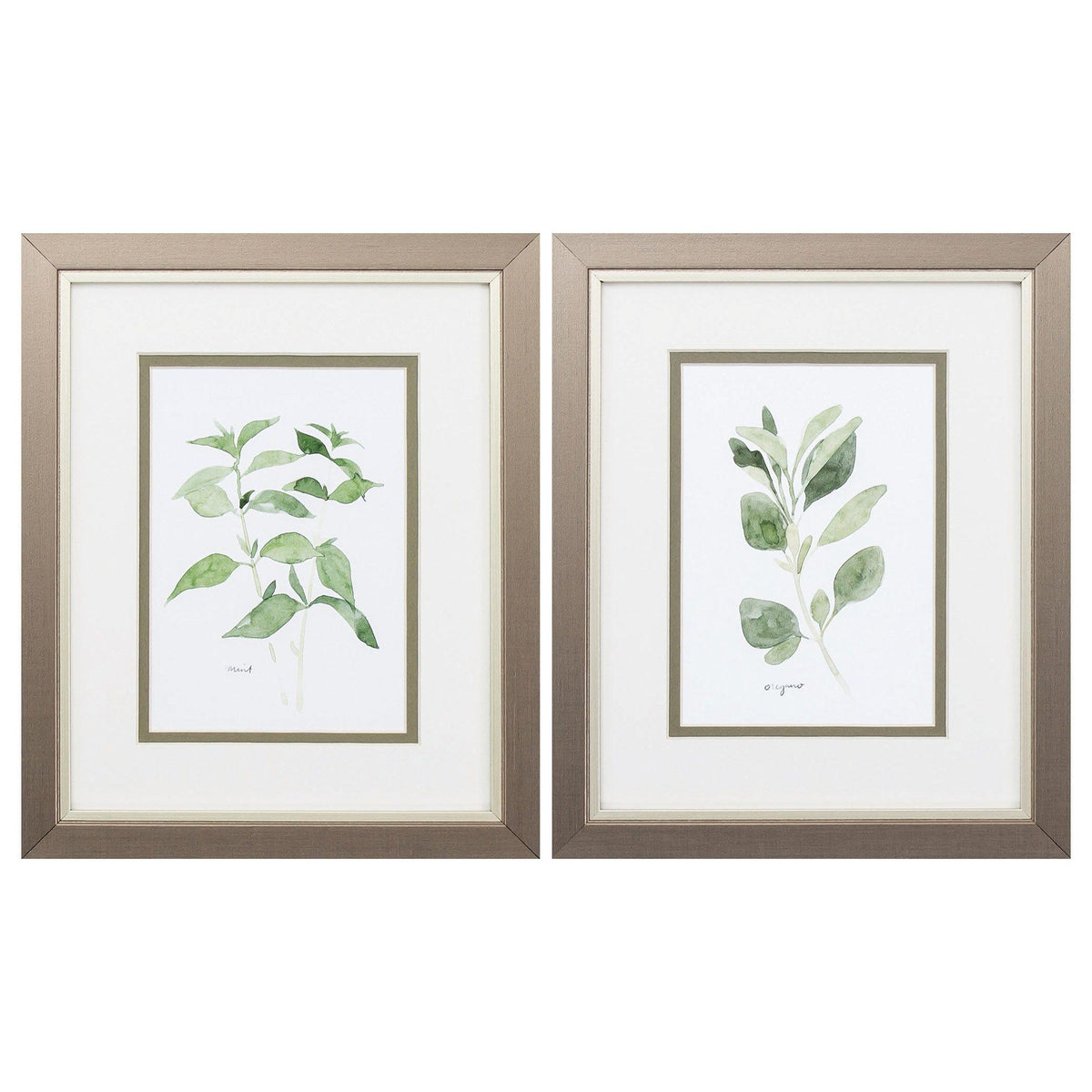 Paragon Herb Garden Sketches S/2 Green 11 X 09 X 1 Wall Art