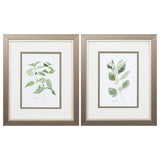 Paragon Herb Garden Sketches S/2 Green 11 X 09 X 1 Wall Art