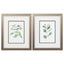 Paragon Herb Garden Sketches S/2 Green 11 X 09 X 1 Wall Art